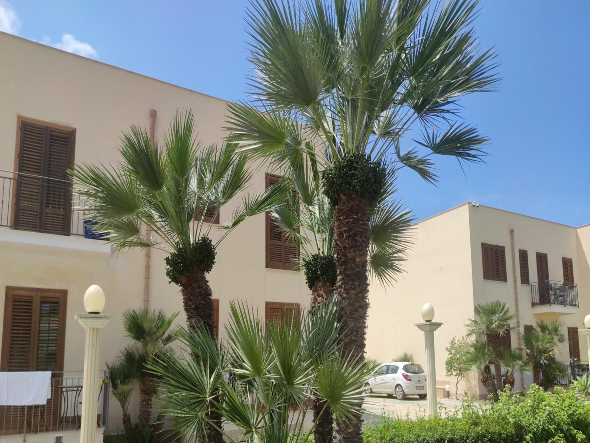 Appartamento Valentina San Vito Lo Capo Exterior photo
